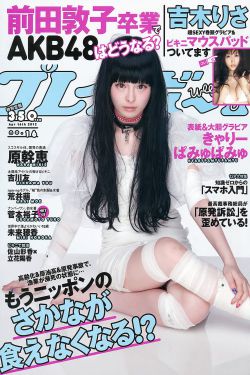 雄兵出击TC版